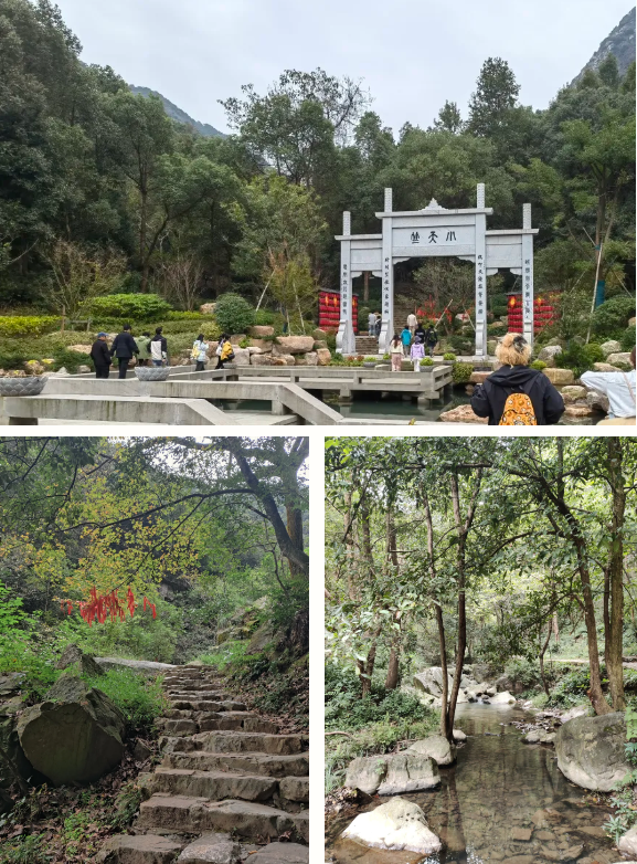 微信图片_20241125135648.png