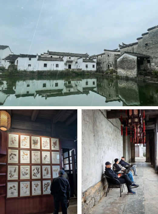 微信图片_20241125135800.png